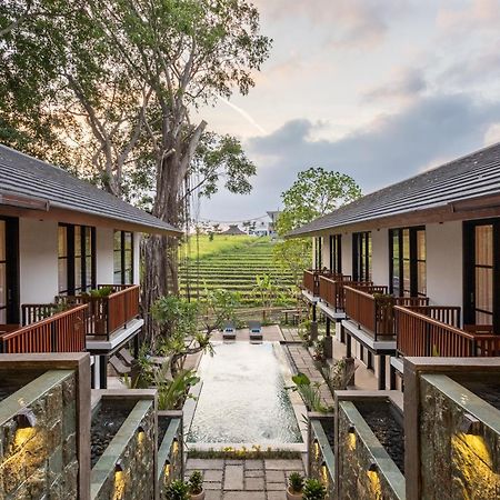 Paripadi Studio Canggu Екстер'єр фото